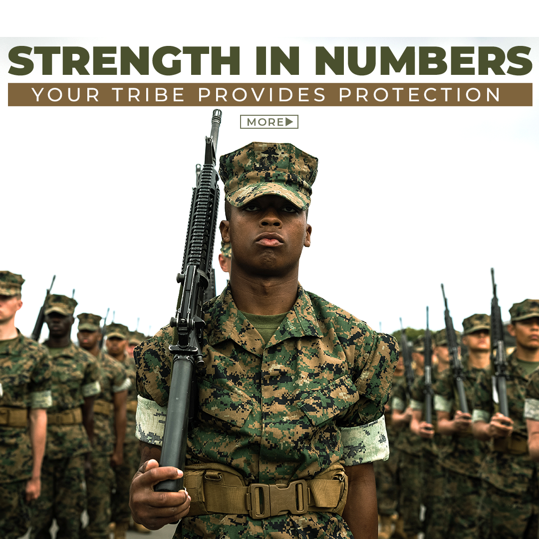 2025 MCCS Web - Homepage Hero Highlights - Strength In Numbers Your Tribe Provides Protection - Mobile.png