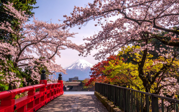 Youth Fitness (Ages 5-6)