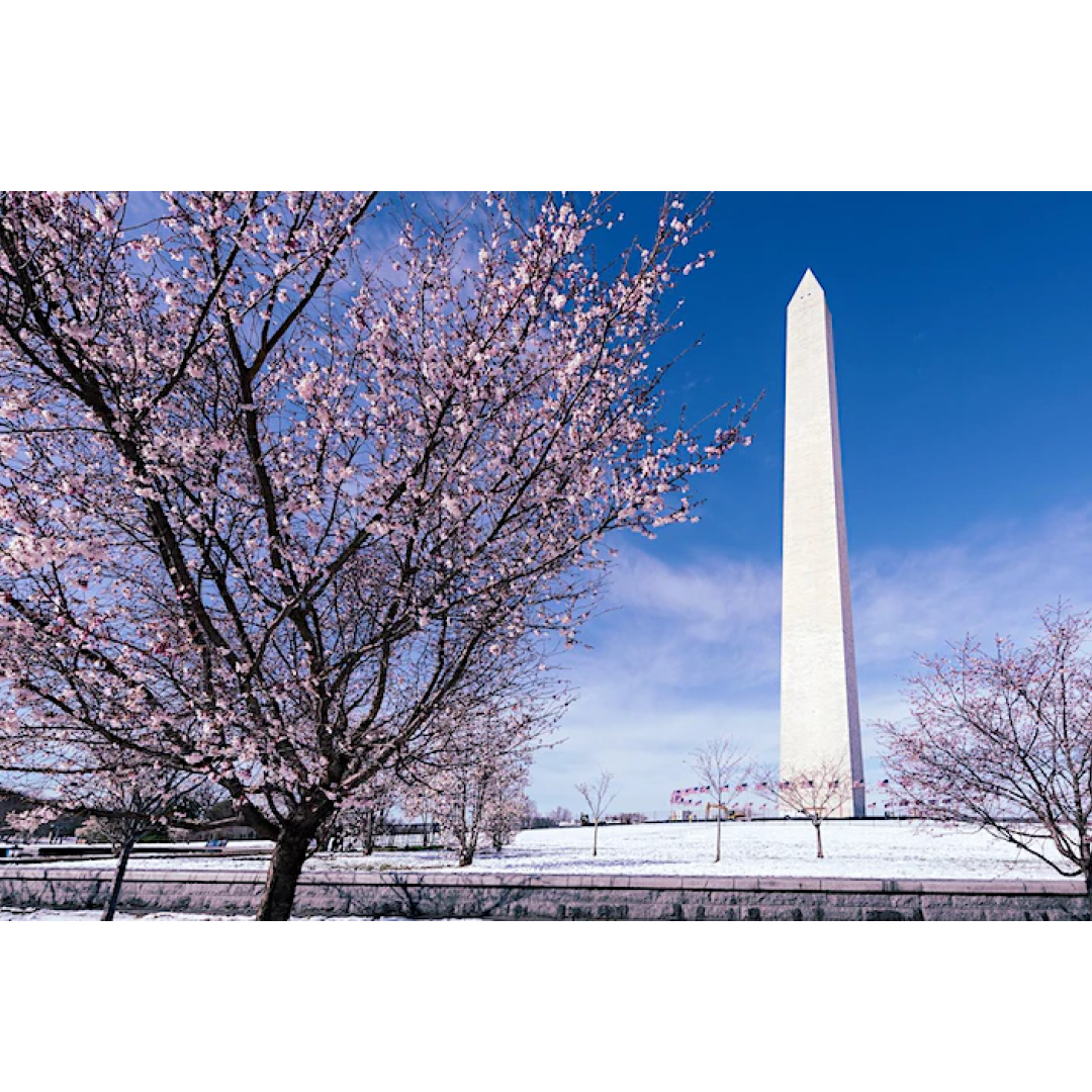 SMP-Monument Hopping on National Mall-DC