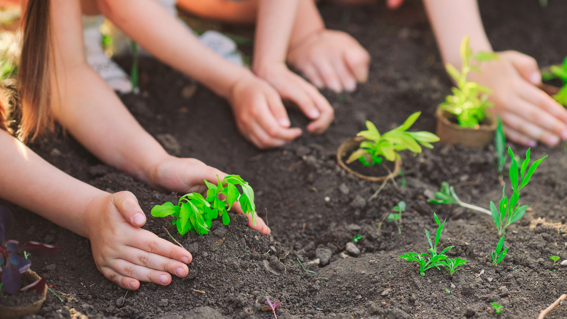 EFMP Giggles in the Garden