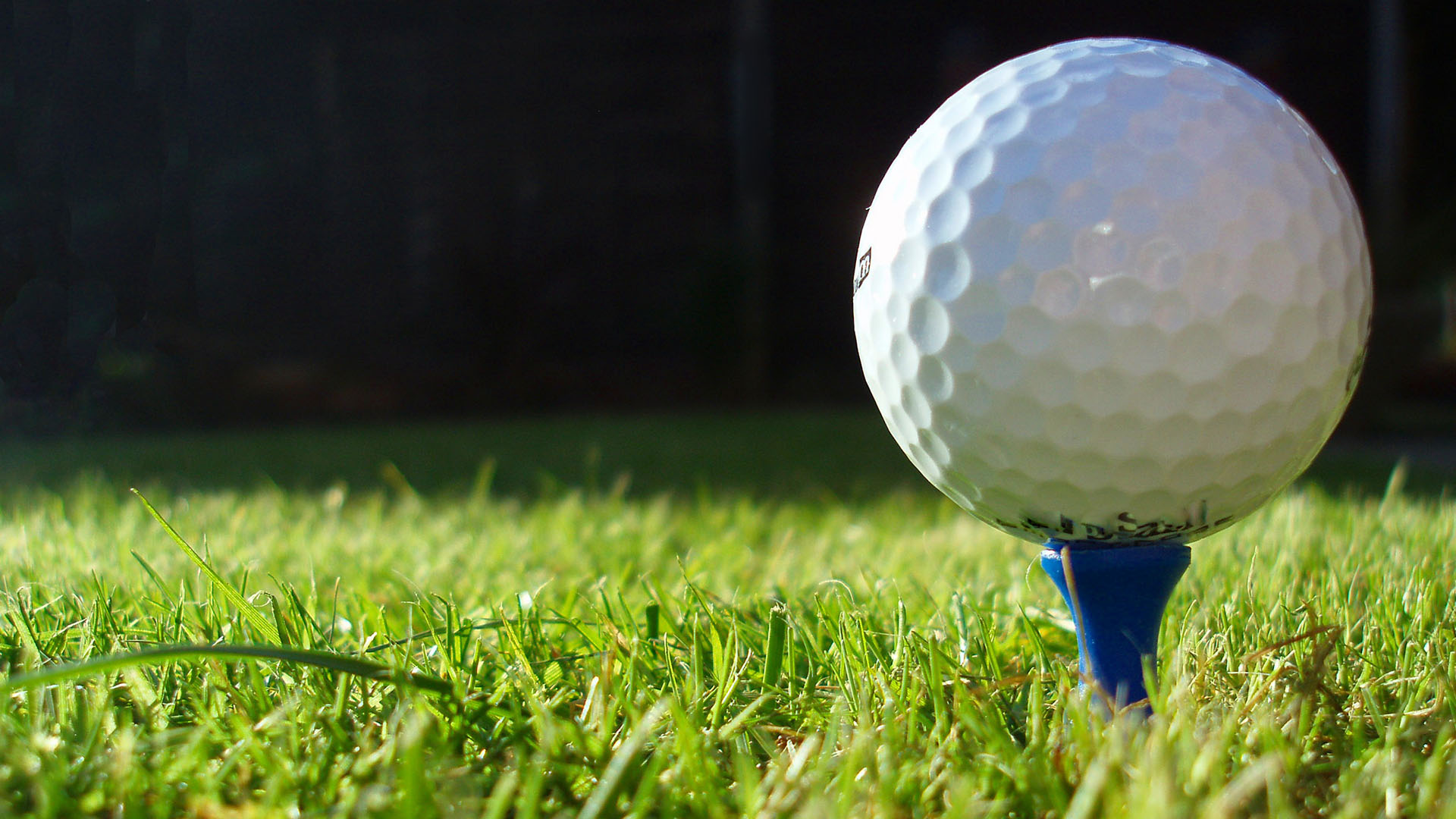 Medal of Honor Golf League