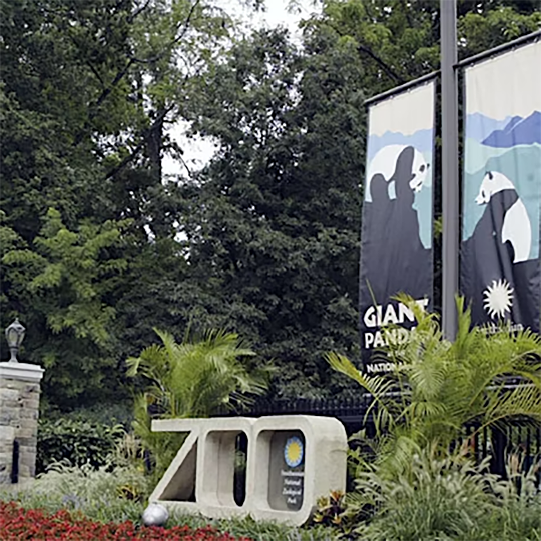 SMP Trip - Smithsonian National Zoo Trip
