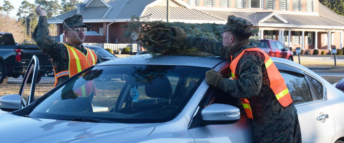 Free Christmas Trees Bring Holiday Cheer to Military Families