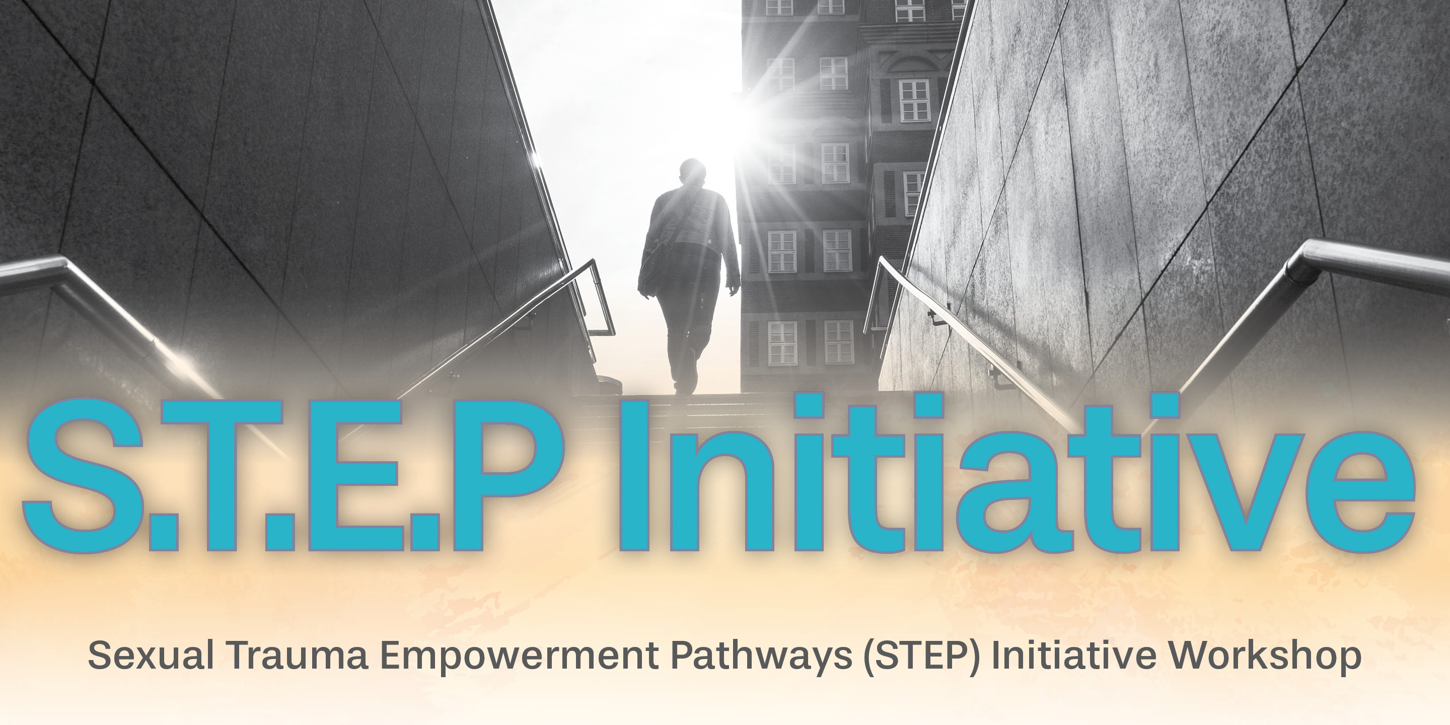 FAP STEP Initiative Workshop